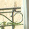 PHOTO DESCRIPTION